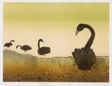 Aileen Brown, Swans