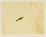 Brent Harris, Drift I of X, 1998, etching and aquatint, ed. P/P