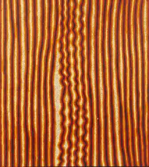 Ancestral Journey from Tjiturrulpa Soakage to Illpilli by Eileen Napaljarri, 2007, synthetic polymer paint on linen, sold Apr 2022
