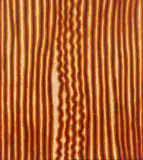 Eileen Napaljarri, Ancestral Journey from Tjiturrulpa Soakage to Illpilli, 2007, synthetic polymer paint on linen