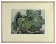 Janet Dawson, Cabbage 3, 2004, pastel on paper