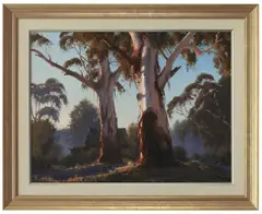 John Wilson, Sunrise Gums, oil on board