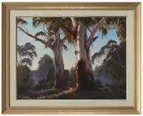 John Wilson, Sunrise Gums, oil on board