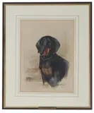 Reuben Ward Binks, Rani, a Dachshund, 1925, watercolour