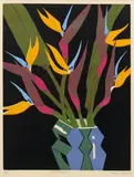 Aileen Brown, Strezitzias