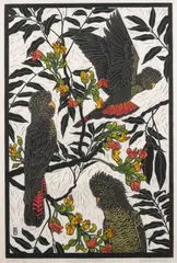 Rachel Newling, Red Tailed Black Cockatoo, linocut, ed. 12/50