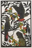 Rachel Newling, Red Tailed Black Cockatoo, linocut, ed. 12/50