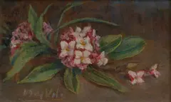 May Vale, Daphne, oil on card
