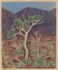 Spinifex Iron Bark by Lisette Kohlhagen, hand coloured linocut, sold Oct 2021
