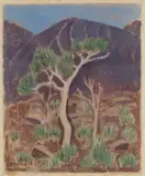 Lisette Kohlhagen, Spinifex Iron Bark, hand coloured linocut