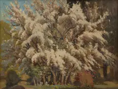 Robert Taylor-Ghee, Blossoms, oil on canvas