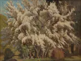 Robert Taylor-Ghee, Blossoms, oil on canvas