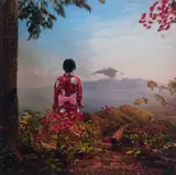 Anne Zahalka, Exotic Birds, 2008, c-type photograph ed. 1/12