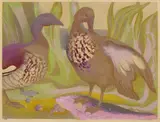 Murray Griffin, Woodduck, linocut ed. 19/28