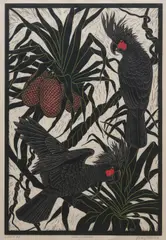 Rachel Newling, Palm Cockatoos, linocut ed. A/P