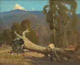Edward Officer, Bush Sawyer, oil on canvas