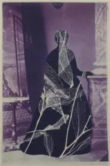 Sue Ford, Shadow Portrait V, 2002, pegasus print