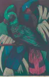 Florence Higgs, Parrots, 1956, linocut