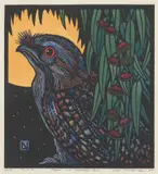 Leslie van der Sluys, Mopoke and Leucoxylon (Southern Boobook and Eucalyptus), 1988, linocut 47/90
