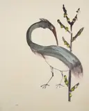 Untitled (Bird and Branch) by Sidney Nolan, c.1982, mixed media on paper, sold Mar 2021