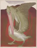 Murray Griffin, Dancing Pelican, 1951, linocut 21/28