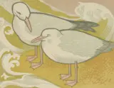 Florence Higgs, Seagulls, c.1954, linocut