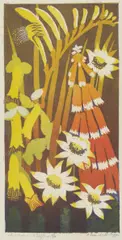 Florence Higgs, Australian Wildflowers, c.1954, linocut 10/25