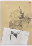 Brett Whiteley, Garden in Rome, 1982, coloured etching, aquatint and collage A/P