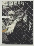 Swingin Monkey II (Regent's Park Series) by Brett Whiteley, 1965, screenprint 55/70, sold Nov 2020
