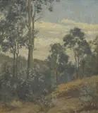 Jo Sweatman, (Treescape), oil on canvas