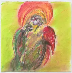 Dorothy Berry, Untitled (Parrot), 2015, pastel and pencil on paper