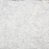 Kathleen Ngale, Bush Plum, 2006, synthetic polymer paint on canvas