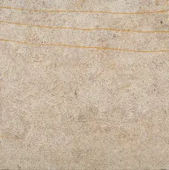 Mountain Devil Lizard, Thorny Devil Lizard (Arnkerrthe), Women Hunting Emu and Dingo (Atnangkerre) by Kathleen Petyarre, 2003, synthetic polymer paint on canvas, sold Feb 2021