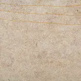 Kathleen Petyarre, Mountain Devil Lizard, Thorny Devil Lizard (Arnkerrthe), Women Hunting Emu and Dingo (Atnangkerre), 2003, synthetic polymer paint on canvas