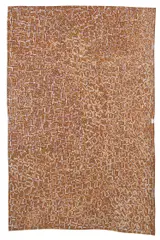 Gulumbu Yunupingu, Untitled, natural earth pigments on bark