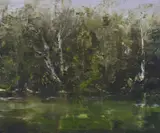 Geoffrey Dyer, D'Entrecasteaux Waterhole I