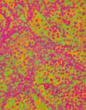 Emily Kame Kngwarreye, Altyerre, Spinifex Dreaming 1994, 1994, Altyerre, Spinifex Dreaming
