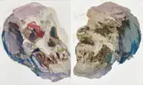 Ben Quilty, Rorschach 2008, 2008, oil on canvas (diptych)