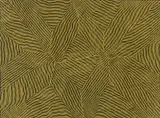 Warlimpirrnga Tjapaltjarri, Wilkinkarra 2022, 2022, Wilkinkarra