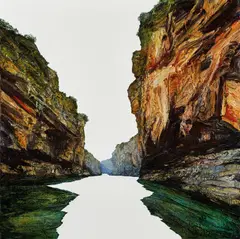 Neil Frazer, Etched Gorge 2010, 2010, synthetic polymer paint on canvas