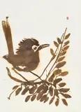 Brett Whiteley, Wren 1979, 1979, sepia ink on paper