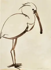 Brett Whiteley, Spoonbill 1978, 1978, brush and ink on paper