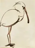 Brett Whiteley, Spoonbill 1978, 1978, brush and ink on paper