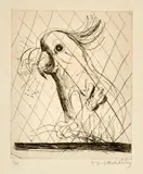 Brett Whiteley, Hullo (Cockatoo) 1980, 1980, etching