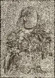 Daniel Boyd, A Tongan Belle 2017, 2017, A Tongan Belle