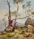 Hans Heysen, Gums and Boulder c1898