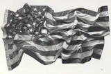 Cj Hendry, American Flag 2015, 2015, ink on paper