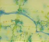 John Olsen, Frogs - Morning 2019