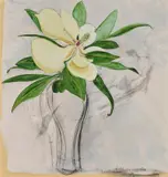 Brett Whiteley, Sketch of a Magnolia 1977, 1977, oil and mixed media on composition board