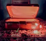 Julia Ciccarone, Bioluminescence 2008, 2008, oil on linen